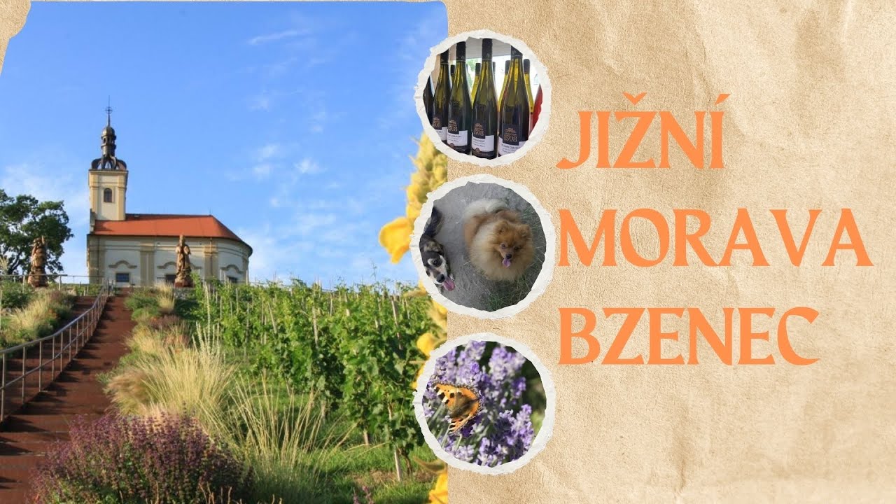 🇨🇿BZENEC A OKOLÍ FILM🇨🇿