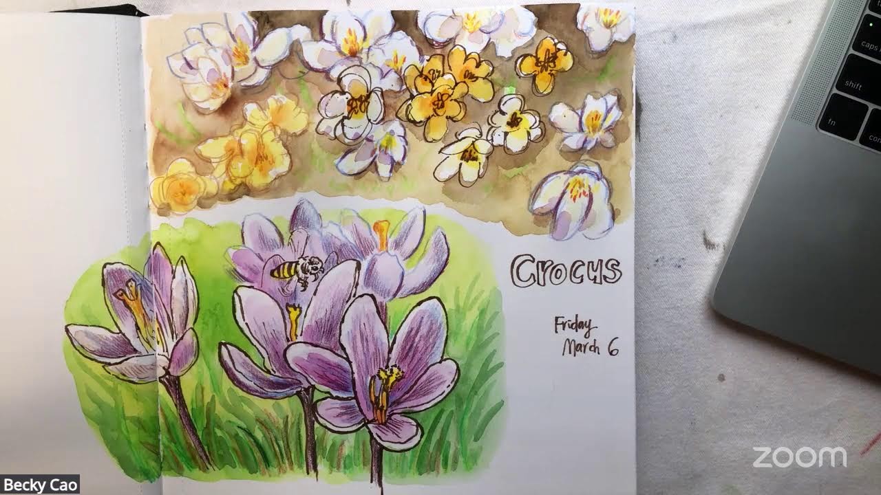 Sketch with Becky: Crocus