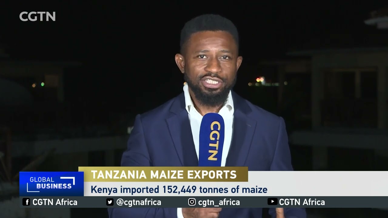 Tanzania earns $140 million from maize exports