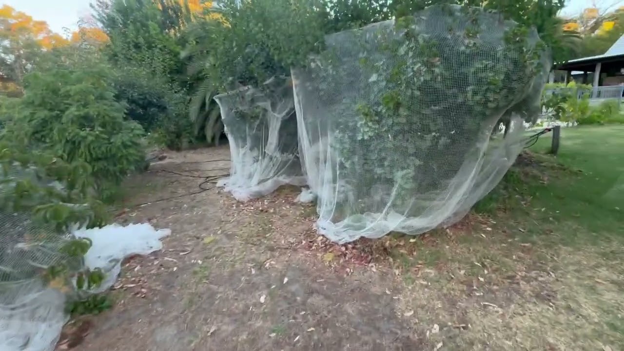 Full Garden Tour Part 1 -  Southwest Australia - Zone 9b/10a