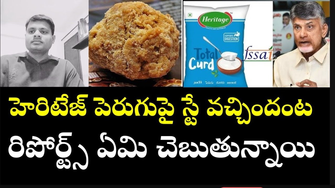 హెరిటేజ్ పెరుగు కల్తీ? Vs తిరుమల లడ్డు? #jmdmedia #ysrcp #ysjagan #ttdladduissue 