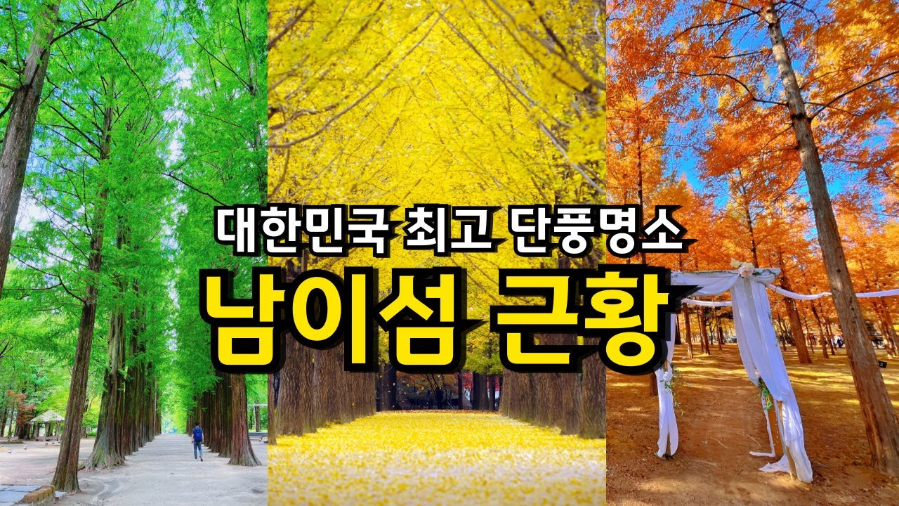 가을여행 추천 남이섬 단풍여행코스 / 춘천여행 가평여행 남이섬추천코스