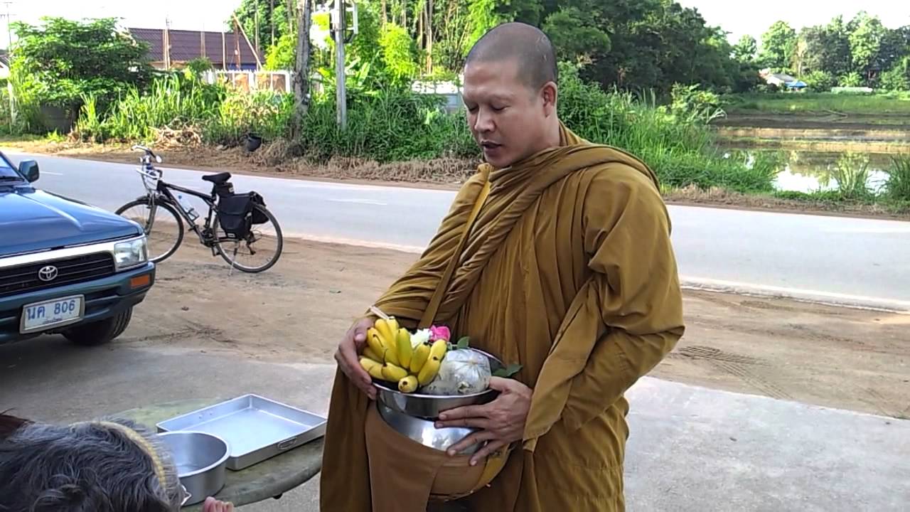 Forest monk on alms-round