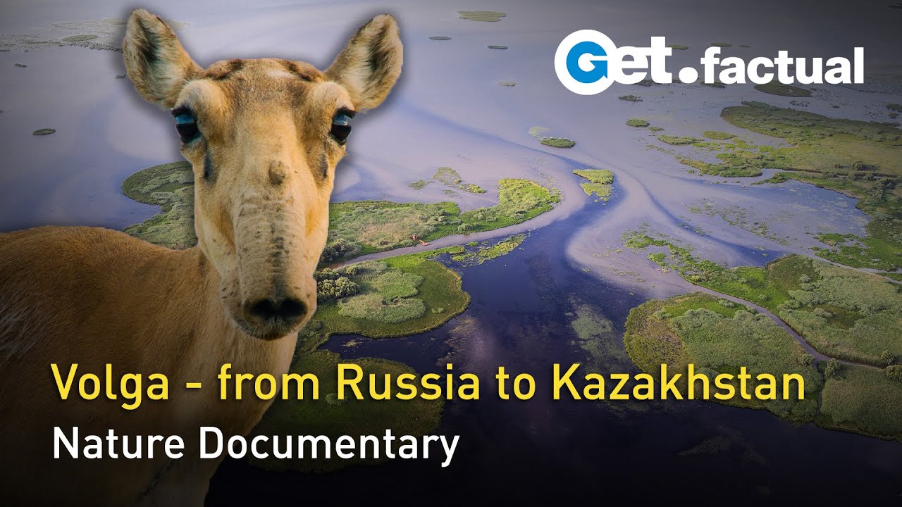 Realm of the Volga - A River Becomes A Sea | Full Nature Documentary