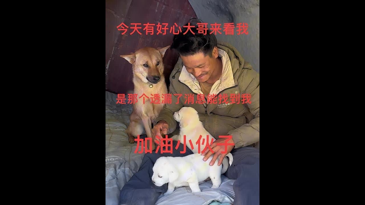 一人一狗开着14年面包车挑战西藏三大无人区去新疆车坏了今天住桥洞好心大哥来看我，加油小伙子#现场实拍 #户外露营 #西藏 #带狗 #身体和灵魂总有一个在路上