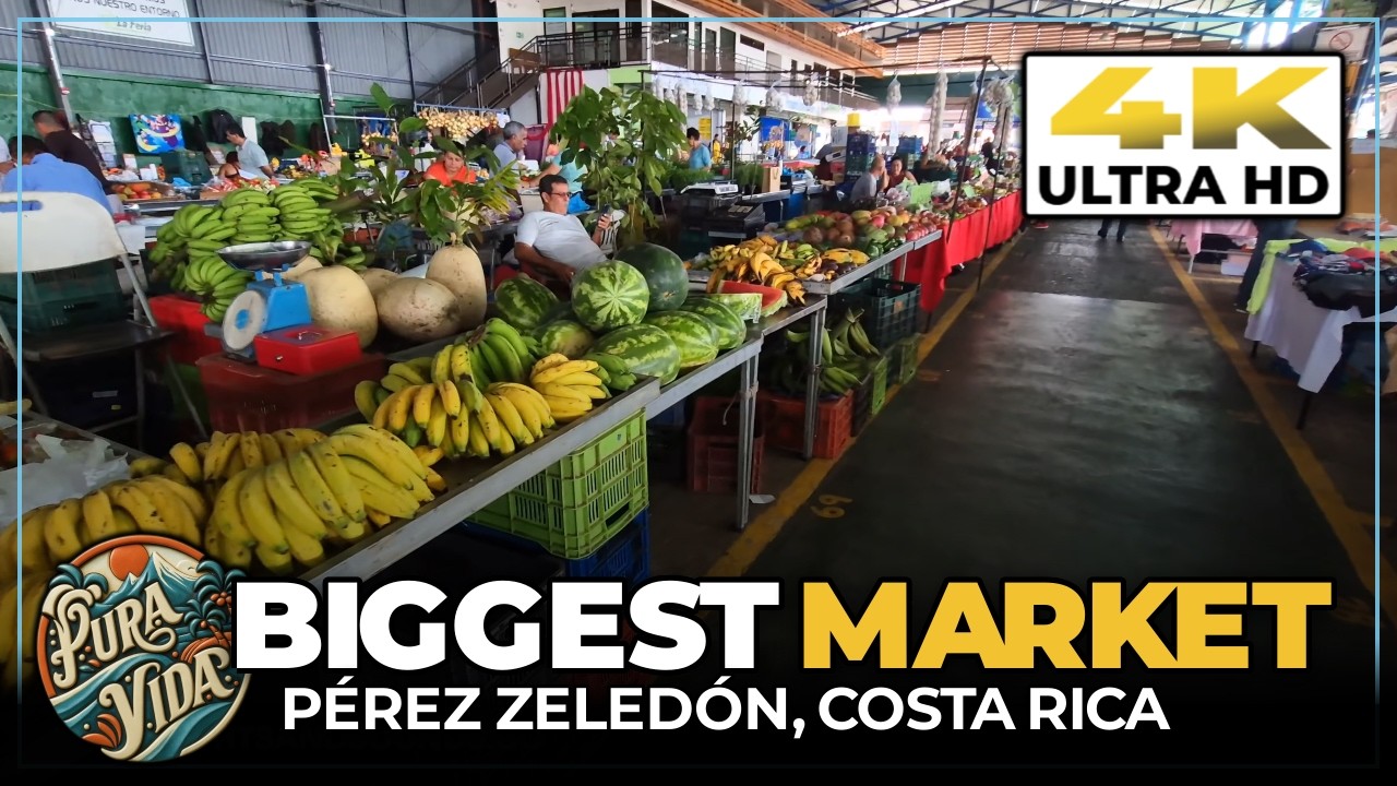 🍍[4K] Tour Perez Zeledon, Costa Rica Farmers Market + Town Walk & Municipal Market #travelvlog