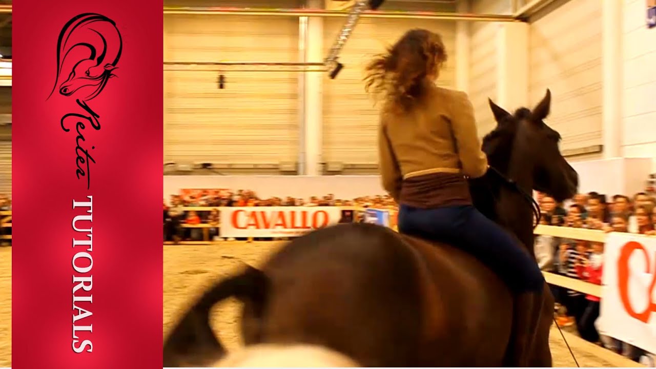 EQUITANA 2015 Kenzie Dysli  // Reitertutorials