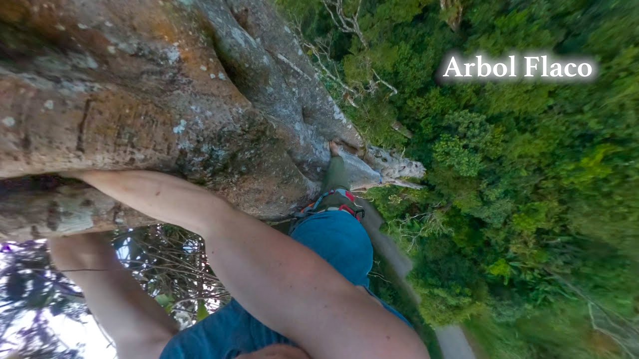 Colossal Tree Climbing in the Jungle of Costa Rica | Arbol Flaco POV Climb