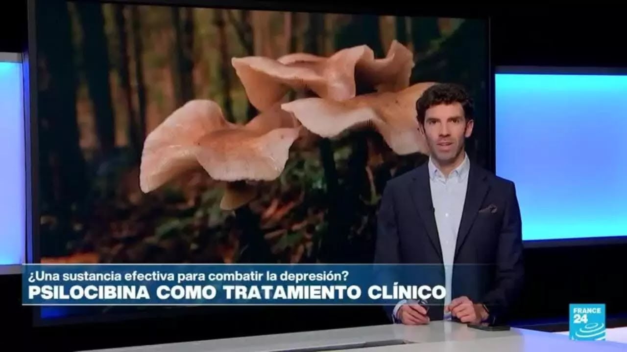 ¿Qué tan efectivo es el tratamiento con psilocibina para combatir la depresión? • FRANCE 24