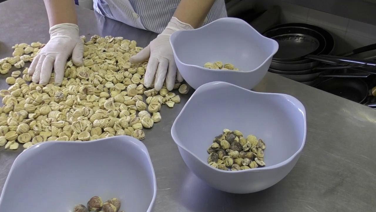 Montese, azienda agricola Il Cotto dove la castagna si trasforma