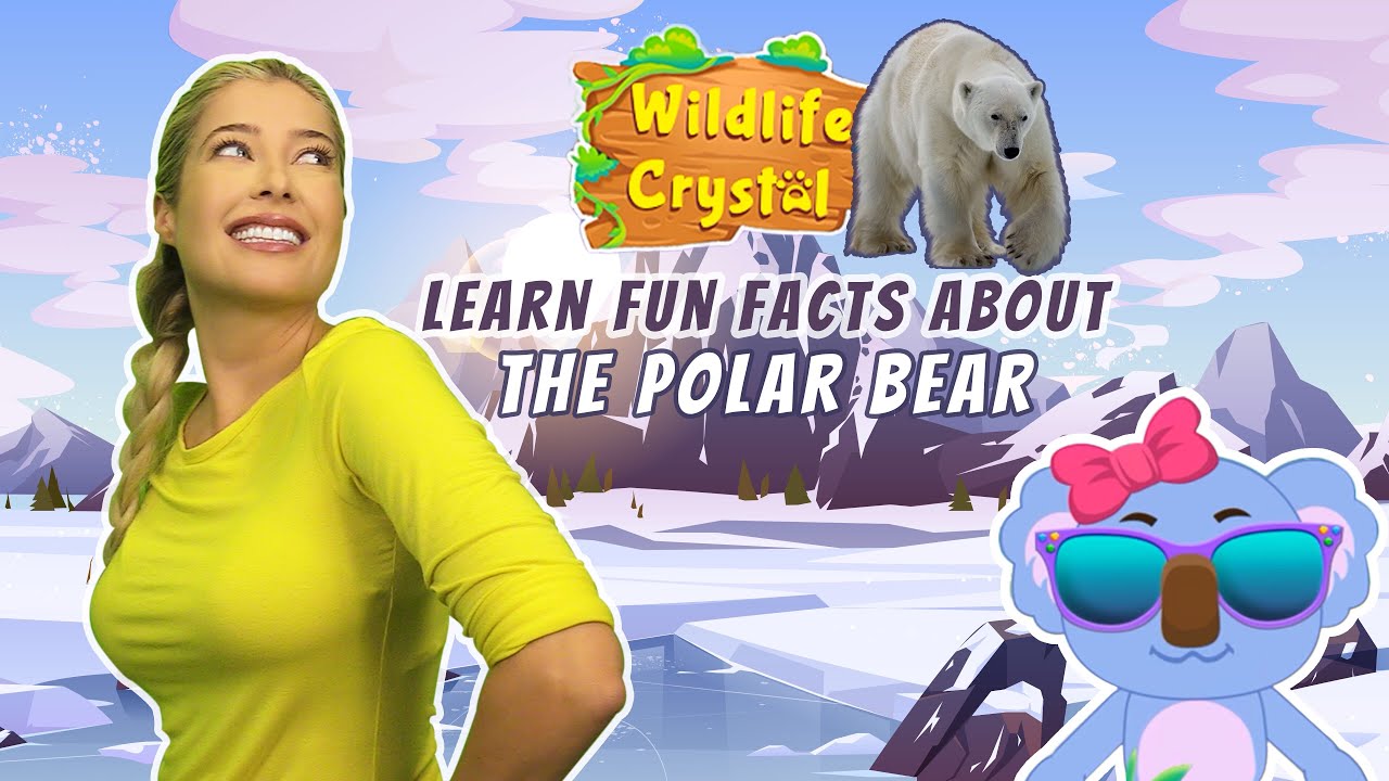 Polar Bear Facts