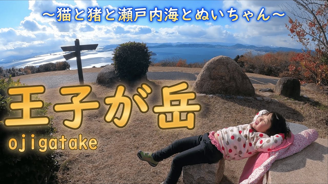 王子が岳 5歳娘が登山中に突進してくる巨大猪に大パニック