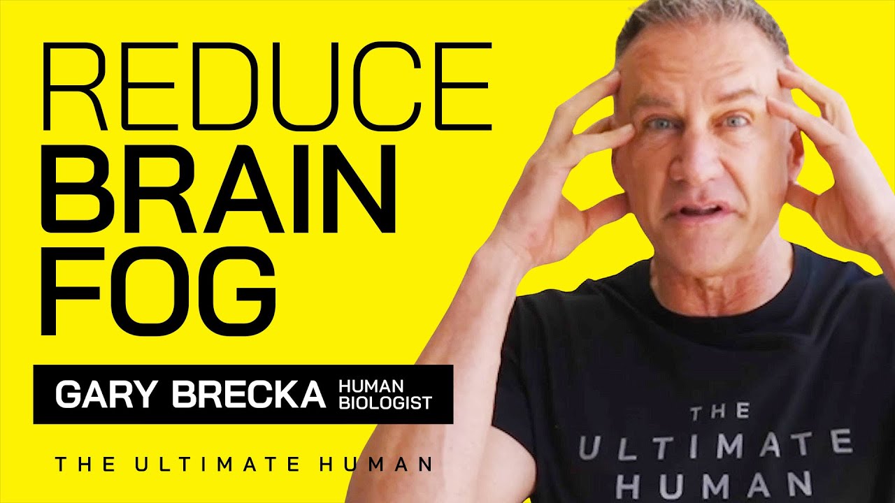 Reduce Brain Fog With These Easy Steps | TUH #060