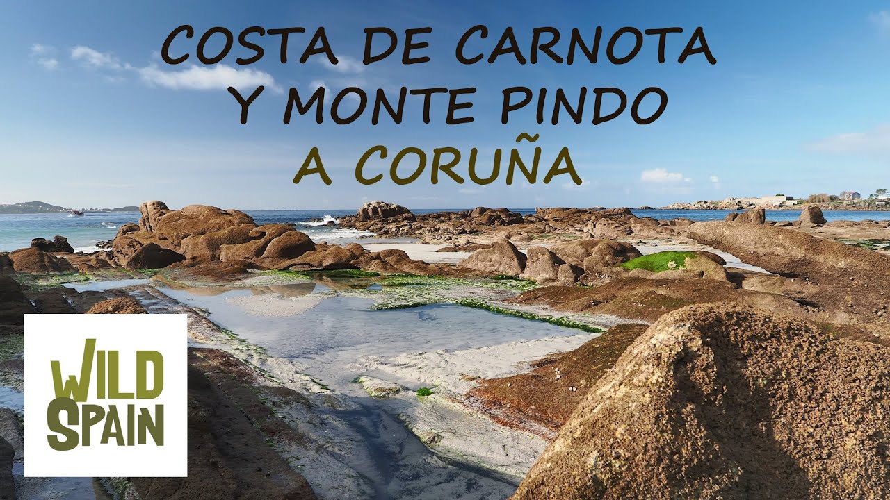 Wild Spain - Capítulo 116 - Costa de Carnota y Monte Pindo, A Coruña.