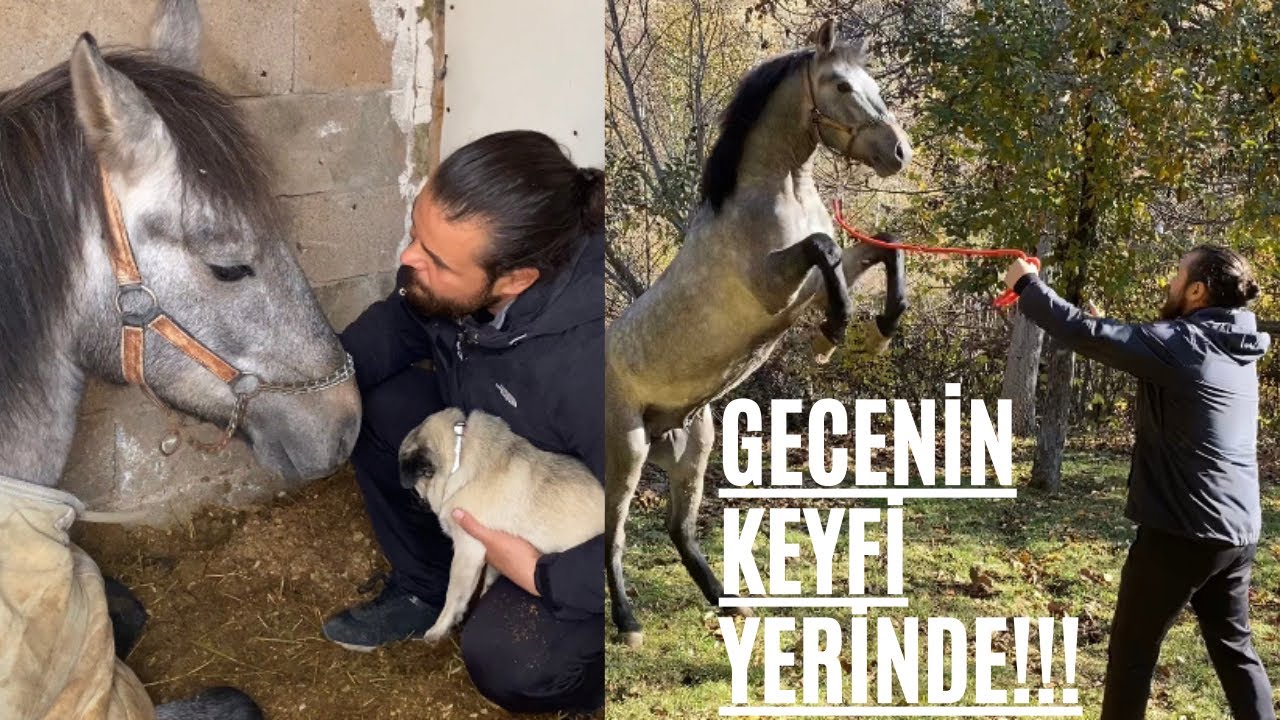 PARİS HASTA OLDU , GECENİN KEYFİ YERİNDE !!