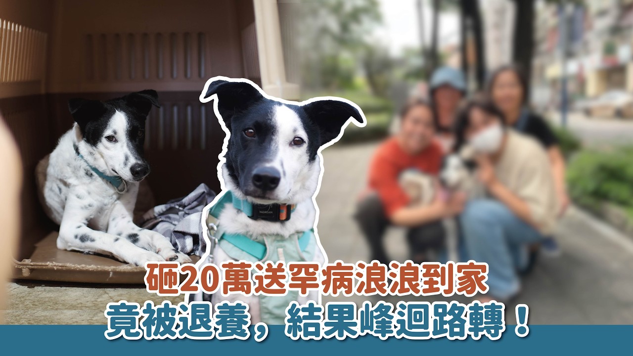 得罕病又遭退養，結果峰迴路轉！