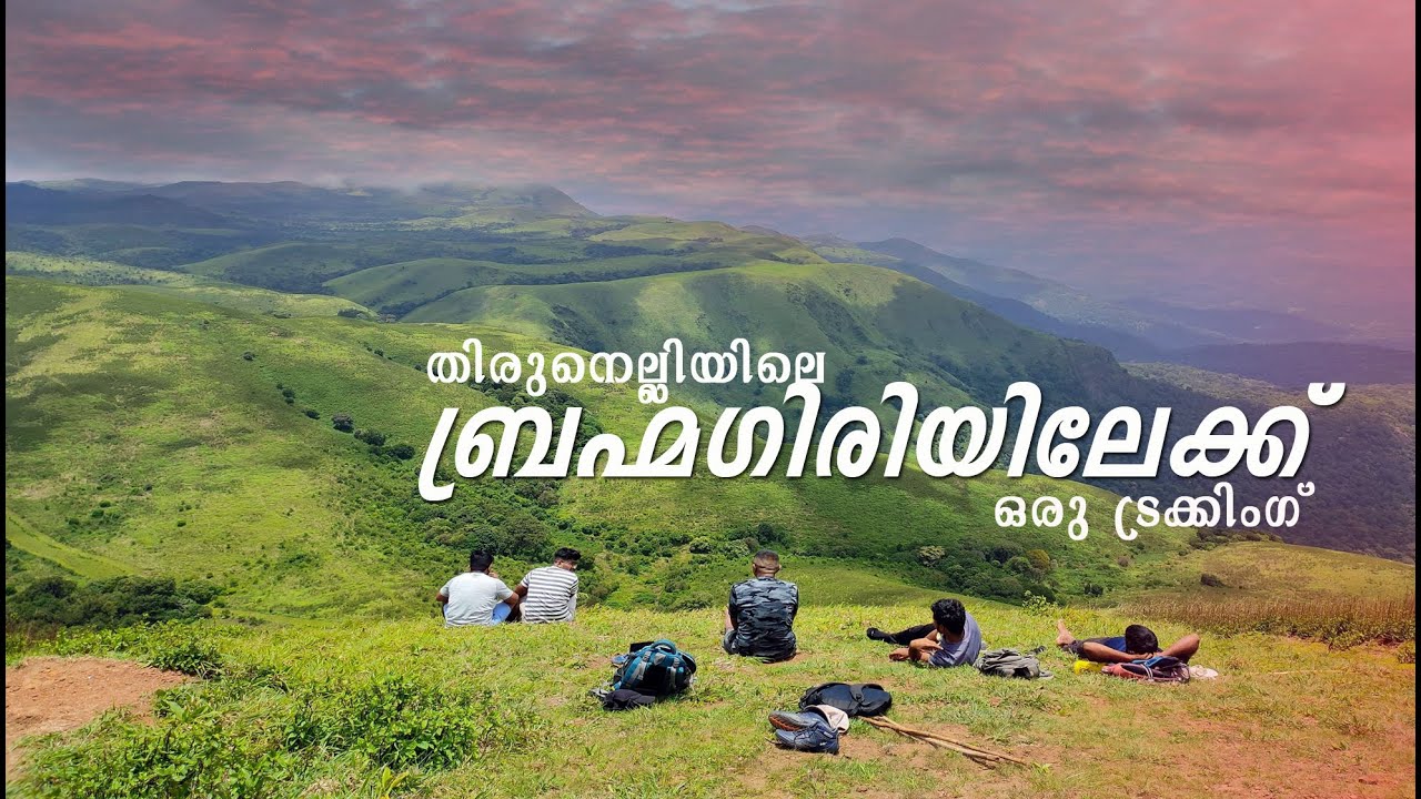 ബ്രഹ്മഗിരി മലമുകളില്‍ | Brahmagiri Peak Trekking | Thirunelli | കറക്ക് കമ്പനി | KARAKKU COMPANY
