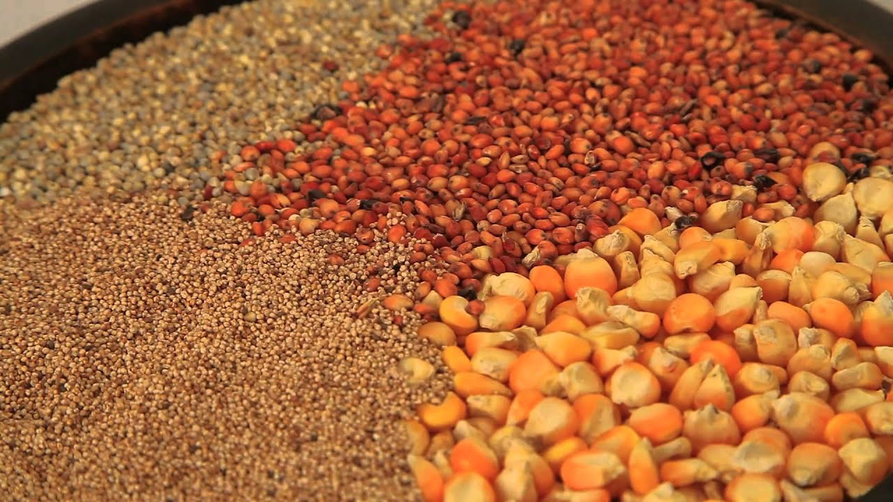 Togo : expo milano 2015, Mode de transformation des céréales.