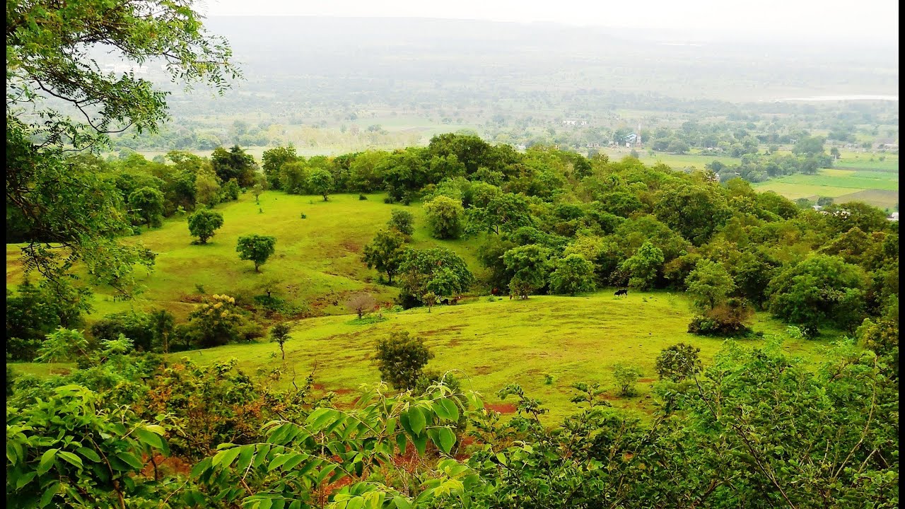 Amazing Ananthagiri Hills, Vikarabad, Telangana, India | HD Video!