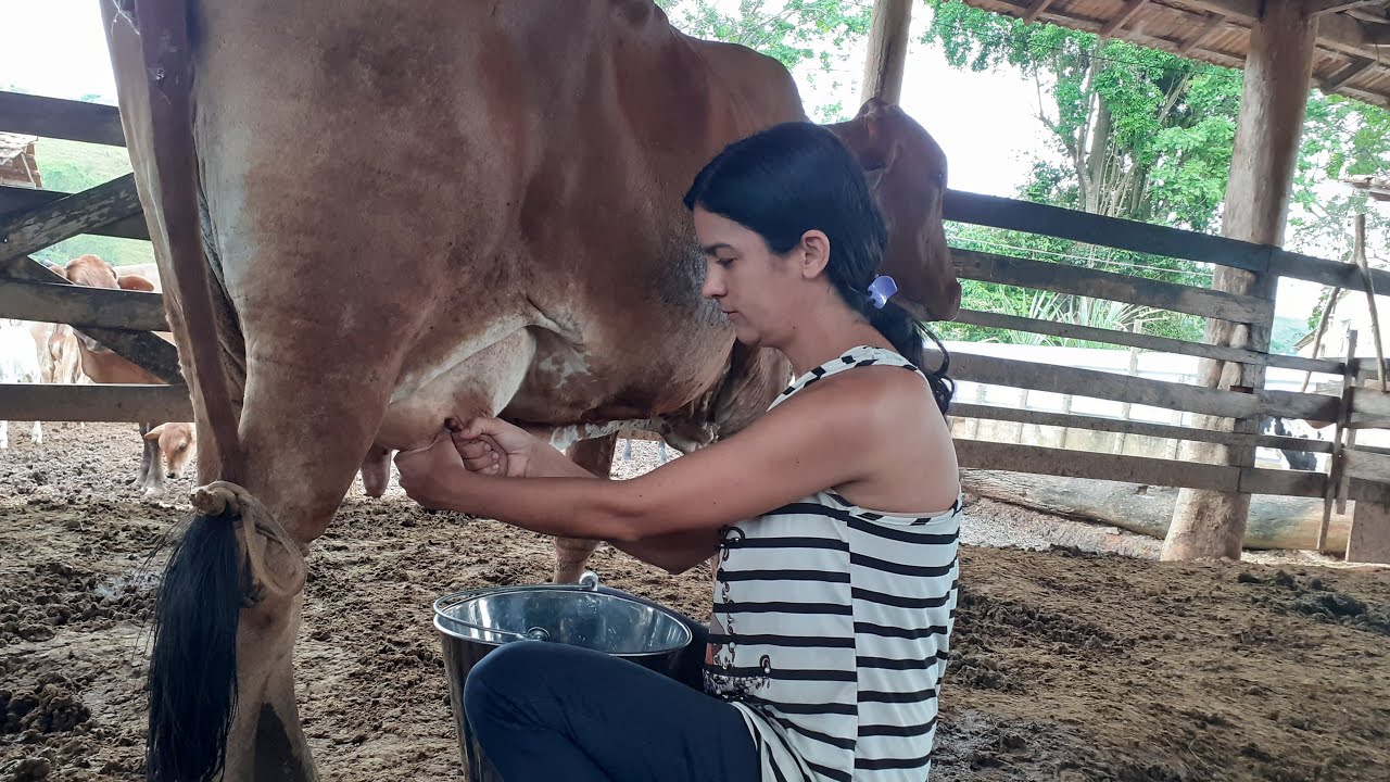Making cheese at home