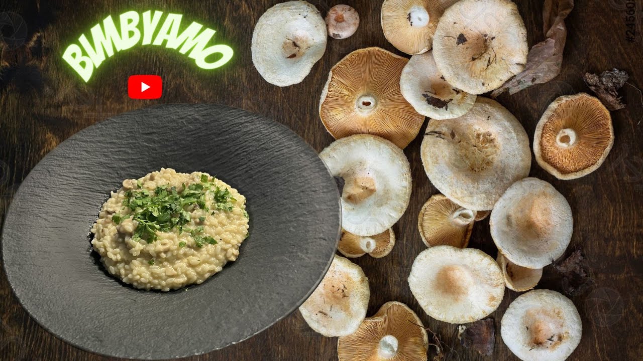 riso con i funghi BIMBY