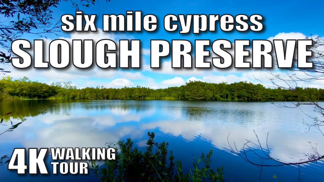 |4K| Six Mile Cypress Slough Preserve, Ft. Myers Florida, Walking Tour, Slow TV, Ambient