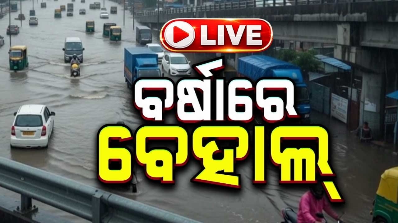 🔴Live | ବର୍ଷାରେ ବେହାଲ | Odisha Weather Update | Rain Update | Odisha Monsoon | Argus News