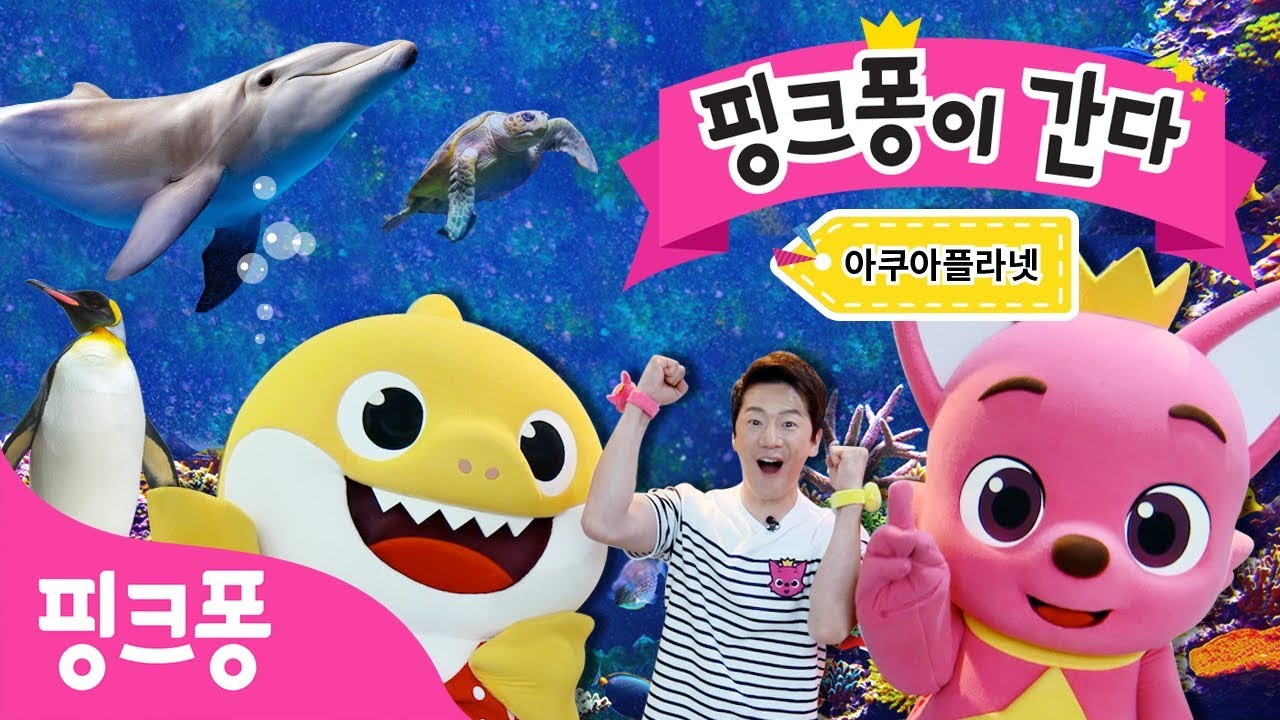 핑크퐁이 간다!ㅣ아쿠아플라넷 63/일산ㅣ상어 펭귄 바다코끼리 물범 등ㅣ튼튼쌤 아기상어와 함께 바다 동물들을 만나보아요!