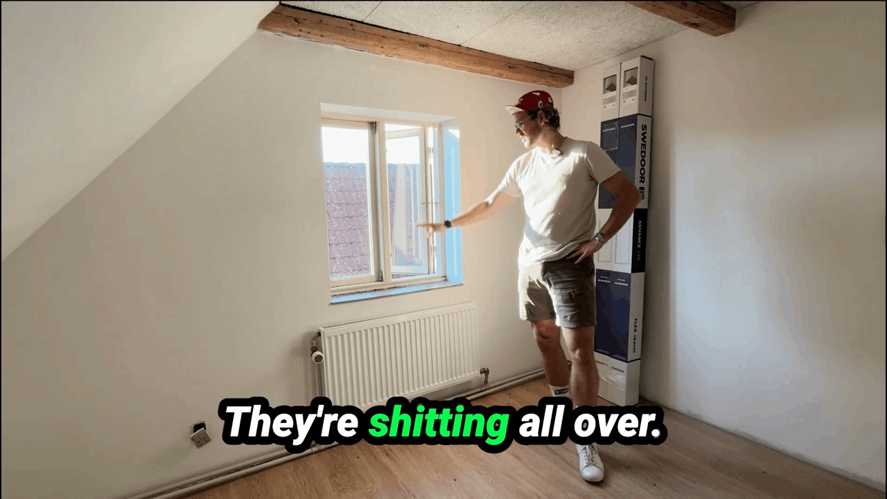 How To Get Rid Of 1000 Flies In My Newly Renovated Apartment  | Apartment Renovation EP 38