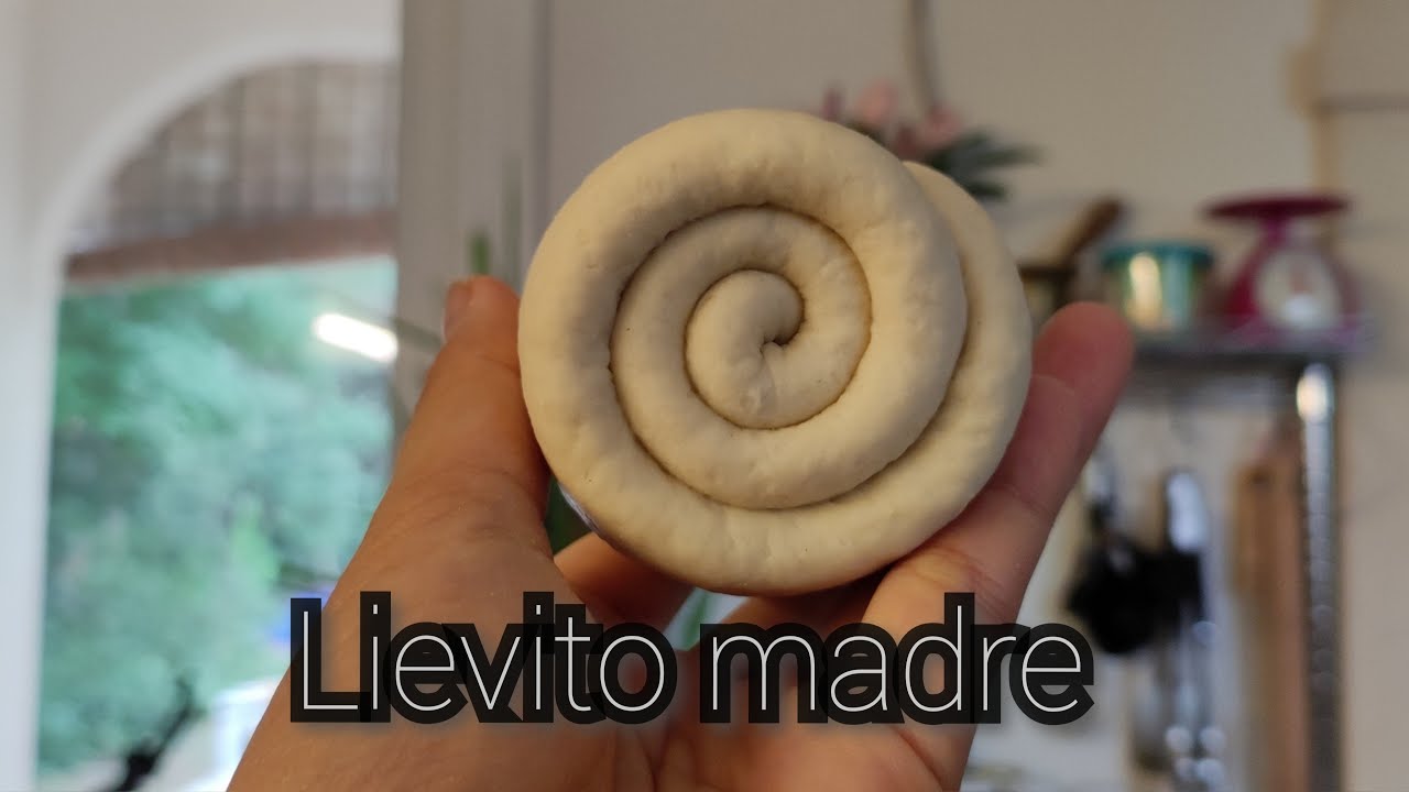 Sourdough starter to lievito madre|Panettone part1|Starter