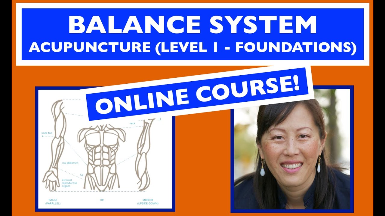 The Balance System Acupuncture Online Course
