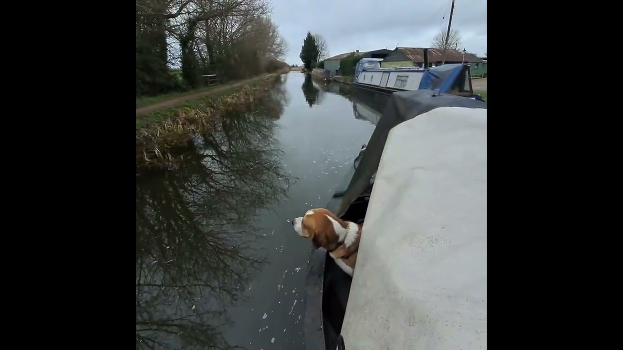 Aylesbury Arm part 2