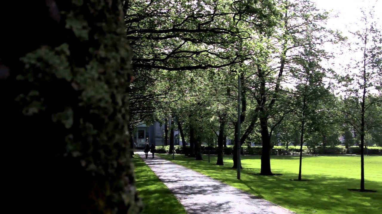 International students at NUI Galway