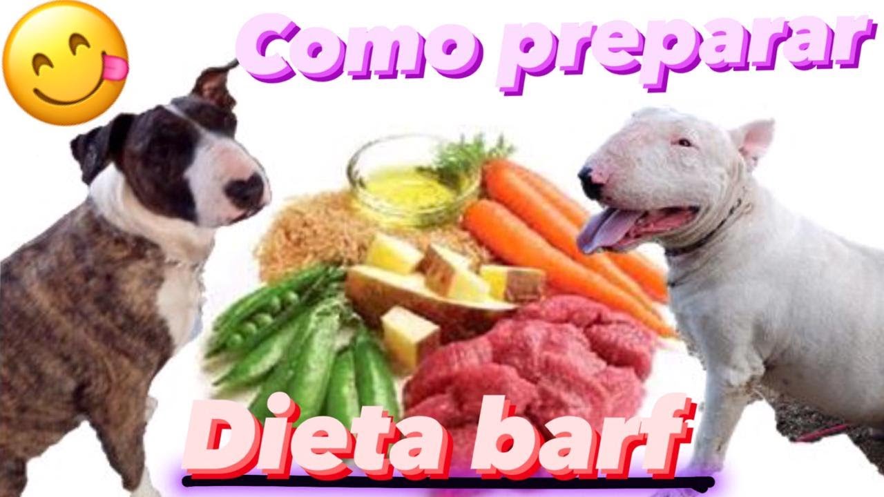 COMO PREPARAR COMIDA BARF🍗🥦 PARA TU PERRO/ DIETA BARF 100% EFECTIVA Y ECONOMICA💸🛒🥗