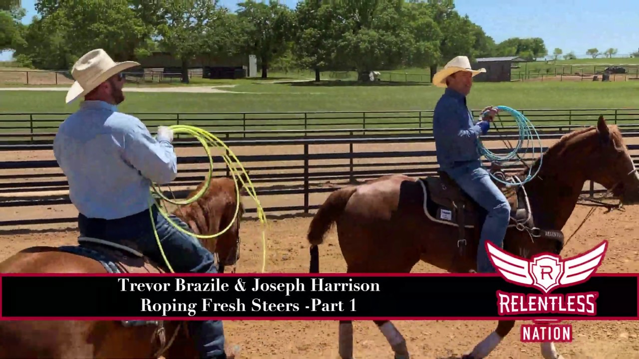 Trevor Brazile and Joseph Harrison Roping Fresh Cattle - Part 1