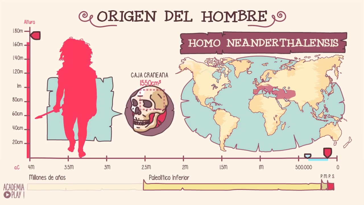 Homo Neanderthalensis