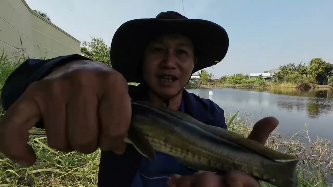 Ao làng thứ hai 