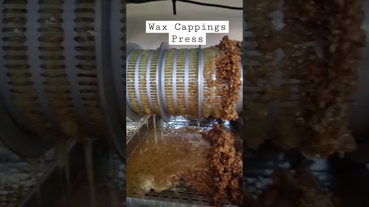 This Is How We Extract Our Honey 🍯