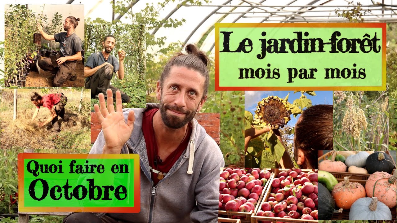 Jardin-forêt en Permaculture. Que faire en Octobre