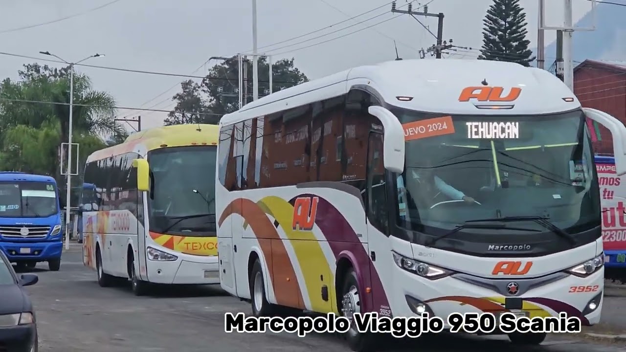 COMPILACION DE AUTOBUSES EN LA FEDERAL 150 AL TRAMO DE CIUDAD MENDOZA