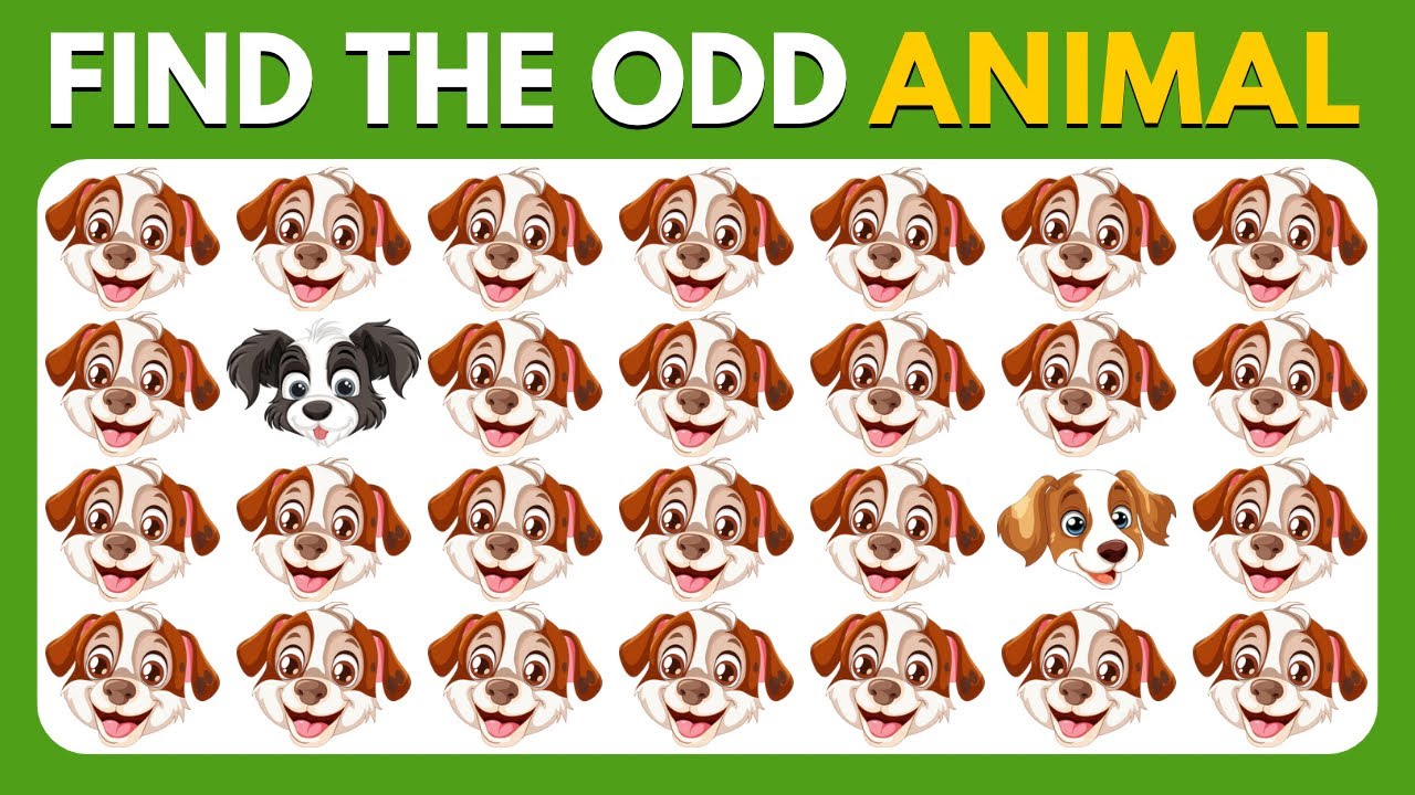 Find the ODD One Out - Animal Edition 🐶😺🐼 | Easy, Medium, Hard Levels
