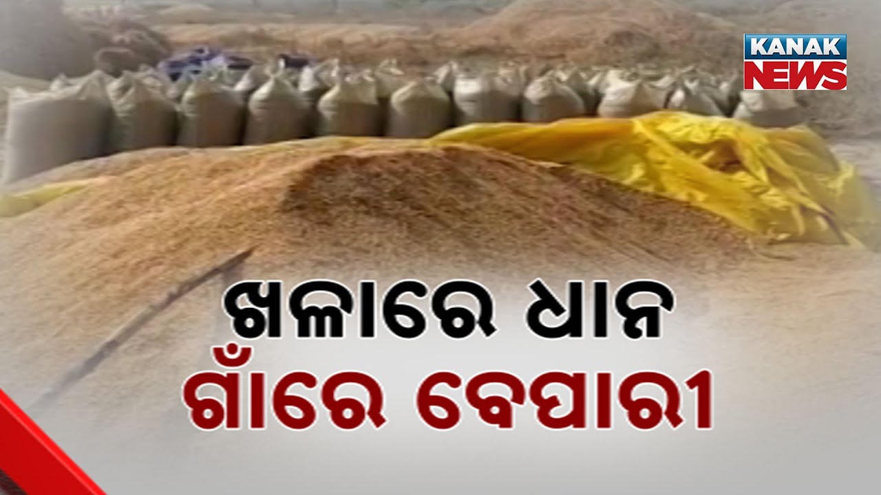 Boudh Farmers Struggle As Kharif Paddy Mandi Remains Closed | Delay Worries Loan-Taking Farmers