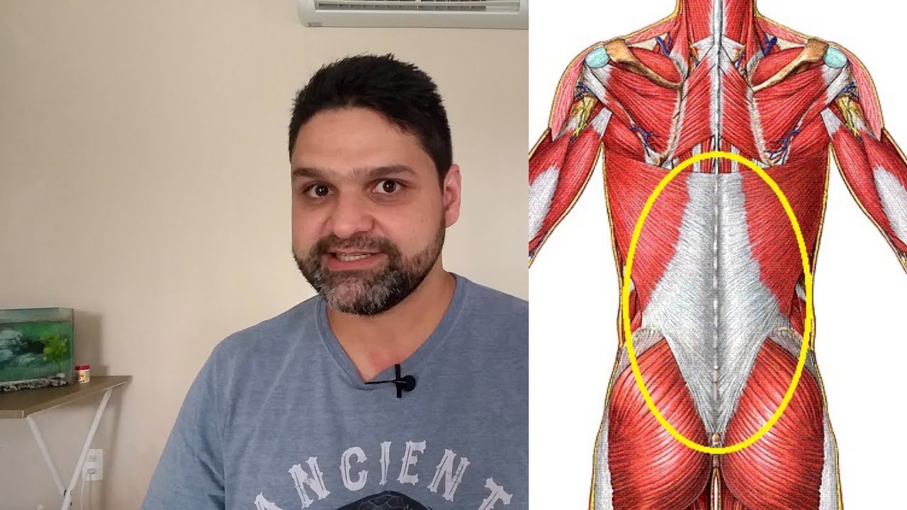 DOR LOMBAR, Nunca Mais! - Dor Cansada.
