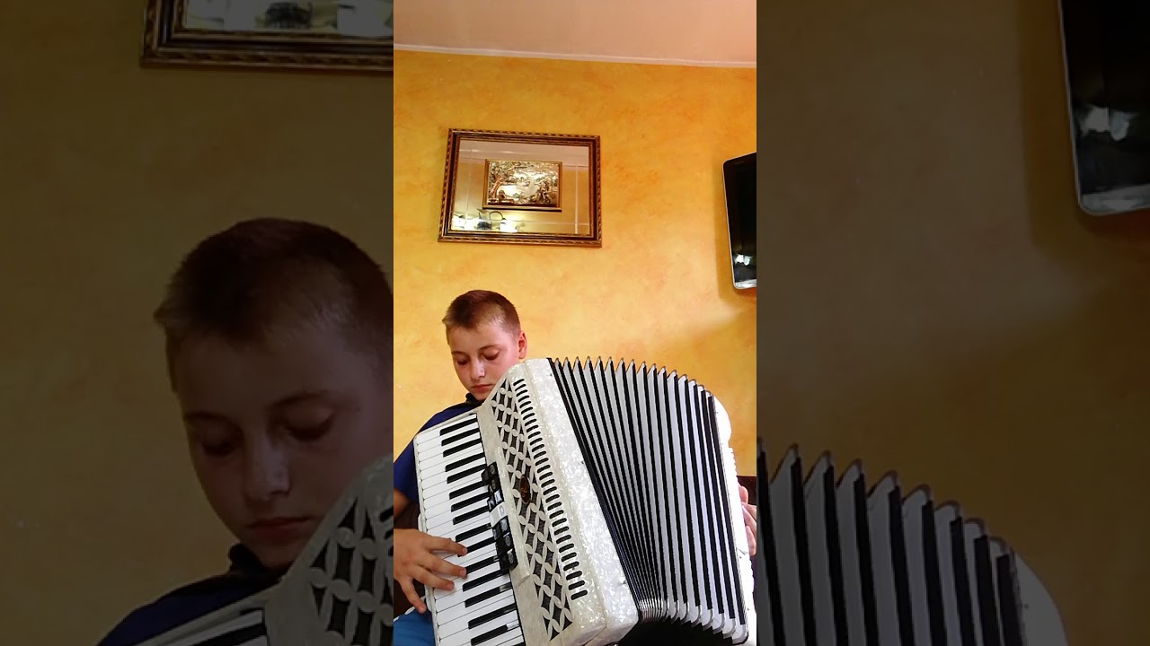 Una spina e una rosa fisarmonica