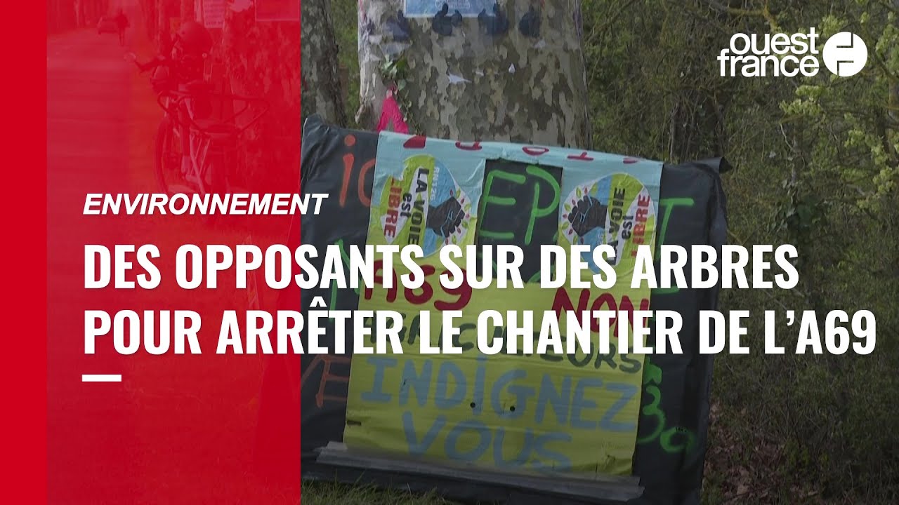 Autoroute Toulouse-Castres : des opposants sur des arbres pour arrêter le chantier