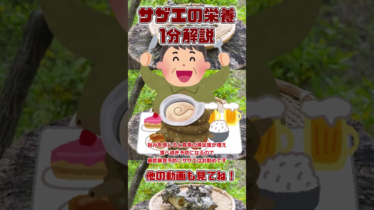 【ゆっくり解説】サザエの栄養を1分で解説 