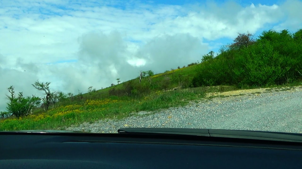 Whitetop Mountain, Virginia - May 2021