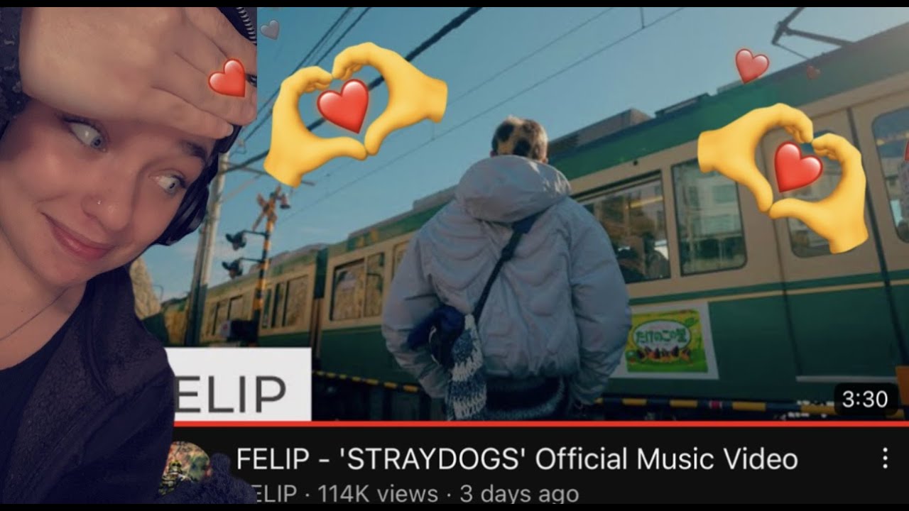 FELIP - 'STRAYDOGS' Official Music Video|REACTION
