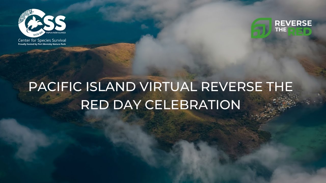 Pacific Island Virtual Reverse the Red Day Celebration