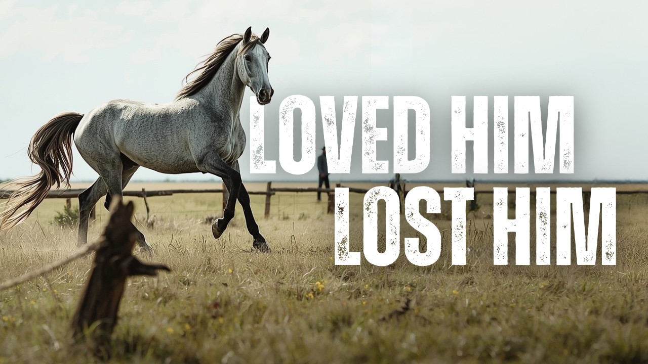 A Brand Inspector Ran His Thumb Over the Scar… and asked, “Where’d you say you got this horse?”